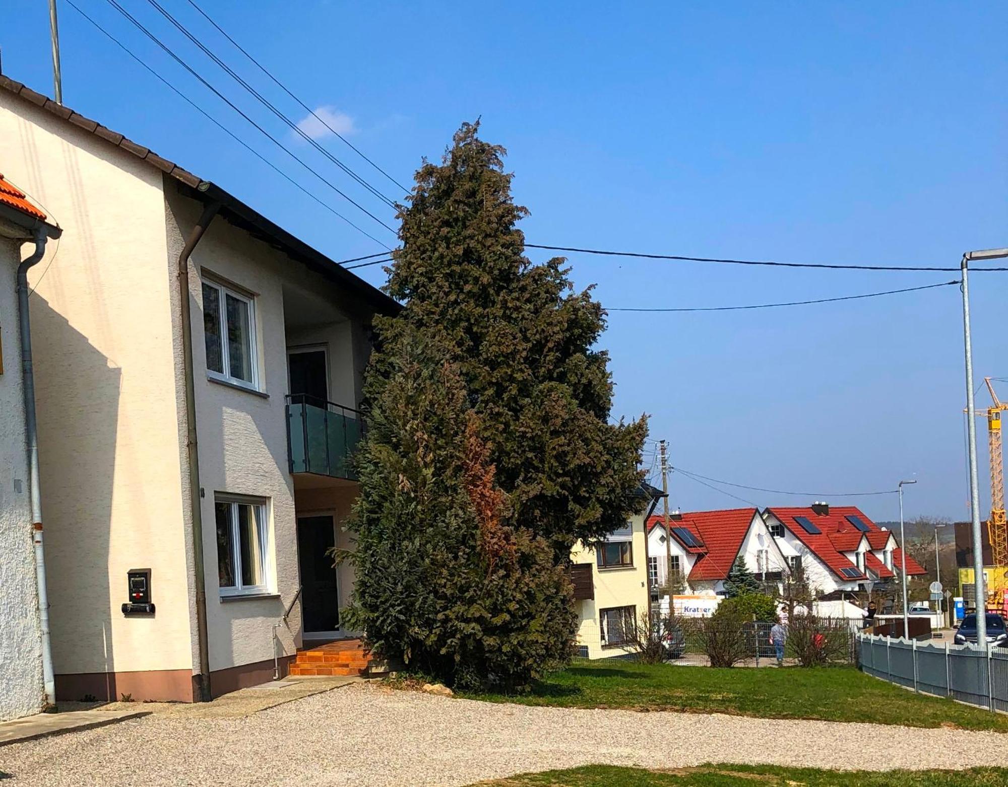 Ferienwohnungen / Ferienhaus אדלסריד מראה חיצוני תמונה